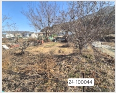  2025Ÿ��100044 �λ� ������ ������ 126       ����(��)���