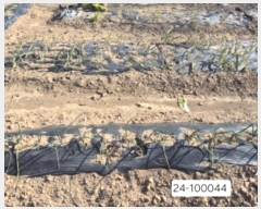  2025Ÿ��100044 �λ� ������ ������ 126       ����(��)���