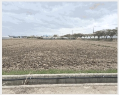  2025Ÿ��101294  ����