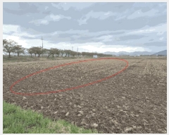  2025Ÿ��101294  ����