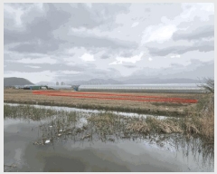  2025Ÿ��101294  ����