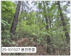  2025Ÿ��101327 �λ� �ϱ� �ݰ ��15       ����(�Ӿ�)���