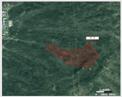  2025Ÿ��101327 �λ� �ϱ� �ݰ ��15       ����(�Ӿ�)���