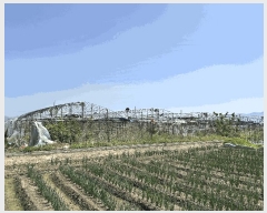  2025Ÿ��101385 �λ� ������ ������ 3533       ����(��)���