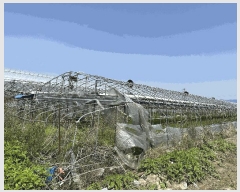  2025Ÿ��101385 �λ� ������ ������ 3533       ����(��)���