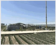  2025Ÿ��101385 �λ� ������ ������ 3533       ����(��)���