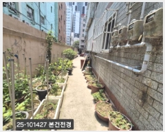  2025Ÿ��101427  ���ΰ��