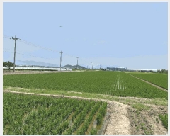  2025Ÿ��101554 �λ� ������ �׵��� 501-1       ����(��)���