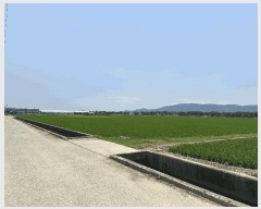  2025Ÿ��101554 �λ� ������ �׵��� 501-1       ����(��)���