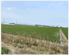  2025Ÿ��101554 �λ� ������ �׵��� 501-1       ����(��)���