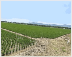  2025Ÿ��101554 �λ� ������ �׵��� 501-1       ����(��)���