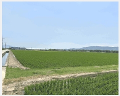  2025Ÿ��101554 �λ� ������ �׵��� 501-1       ����(��)���