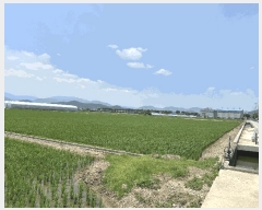  2025Ÿ��101554 �λ� ������ �׵��� 501-1       ����(��)���