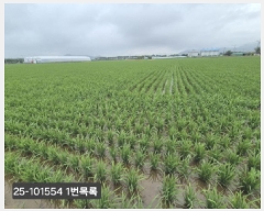  2025Ÿ��101554 �λ� ������ �׵��� 501-1       ����(��)���