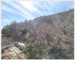  2025Ÿ��205  �Ӿ߰��