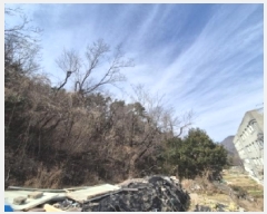  2025Ÿ��205  �Ӿ߰��