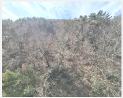  2025Ÿ��205  �Ӿ߰��