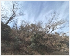  2025Ÿ��205  �Ӿ߰��