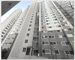  2025Ÿ656 λ  ַʵ 239 ַؾ 108 2201ȣ    Ʈ