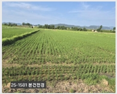  2025Ÿ��1581  ����