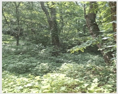  2025Ÿ��2423 �λ� ���ϱ� �縮�� 534-11       ����(�Ӿ�)���