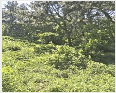  2025Ÿ��2423 �λ� ���ϱ� �縮�� 534-11       ����(�Ӿ�)���