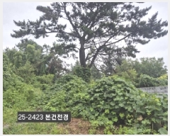  2025Ÿ��2423 �λ� ���ϱ� �縮�� 534-11       ����(�Ӿ�)���