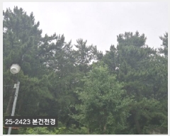  2025Ÿ��2423 �λ� ���ϱ� �縮�� 534-11       ����(�Ӿ�)���