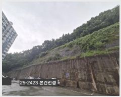  2025Ÿ��2423 �λ� ���ϱ� �縮�� 534-11       ����(�Ӿ�)���