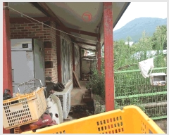  2025Ÿ��2515 �λ� ������ ���ϵ� 427       ���ð��