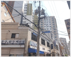  2025Ÿ��2737  ����Ʈ���