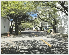  2025Ÿ��2812 �λ� ���� ����ŵ�2�� 313-143 ���;���Ʈ 2�� 1��107ȣ    ����Ʈ���