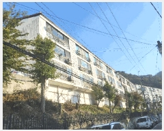  2025Ÿ��3815  �ټ���(����)���