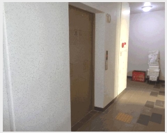  2025Ÿ��4061 �λ� ��� �ַʵ� 1288 �ַʰ浿���� 107�� 10��1004ȣ    ����Ʈ���