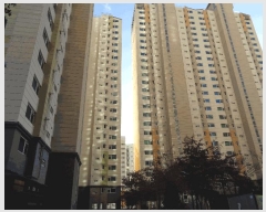  2025Ÿ��4061 �λ� ��� �ַʵ� 1288 �ַʰ浿���� 107�� 10��1004ȣ    ����Ʈ���