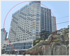  2025Ÿ��101314  �ܵ�(ȣ��)���