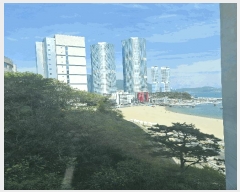  2025Ÿ��101314  �ܵ�(ȣ��)���