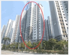  2025Ÿ101455 λ ϱ õ 817 λõ 105 131305ȣ    Ʈ