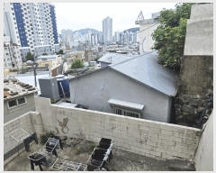  2025Ÿ��101456  ���ð��