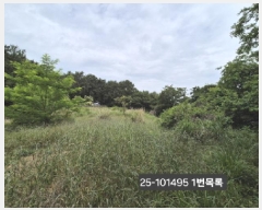  2025Ÿ��101495 �λ� ������ ������ 389-1       ����(��1)���