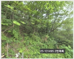  2025Ÿ��101495 �λ� ������ ������ 389-1       ����(��1)���