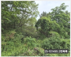  2025Ÿ��101495 �λ� ������ ������ 389-1       ����(��1)���