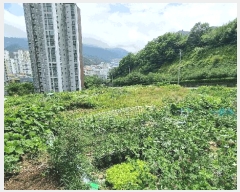  2025Ÿ101532 λ  絿 226-1       (Ӿ)