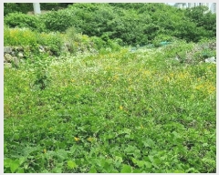  2025Ÿ101532 λ  絿 226-1       (Ӿ)