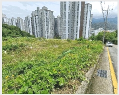  2025Ÿ101532 λ  絿 226-1       (Ӿ)