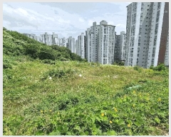  2025Ÿ101532 λ  絿 226-1       (Ӿ)