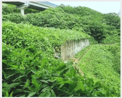  2025Ÿ101532 λ  絿 226-1       (Ӿ)