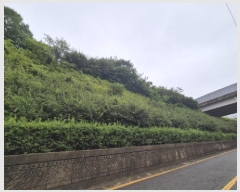  2025Ÿ101532 λ  絿 226-1       (Ӿ)