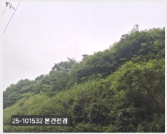  2025Ÿ101532 λ  絿 226-1       (Ӿ)