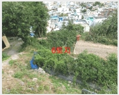  2025Ÿ��101881 �λ� ���� �ϳ��� 459-8       ����(����)���